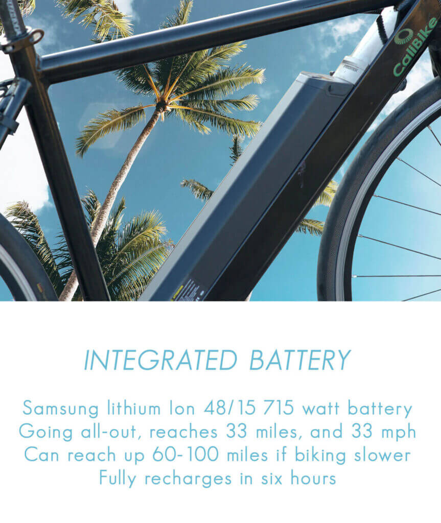 integrated battery 863x1024 - 33C3 E-Bike